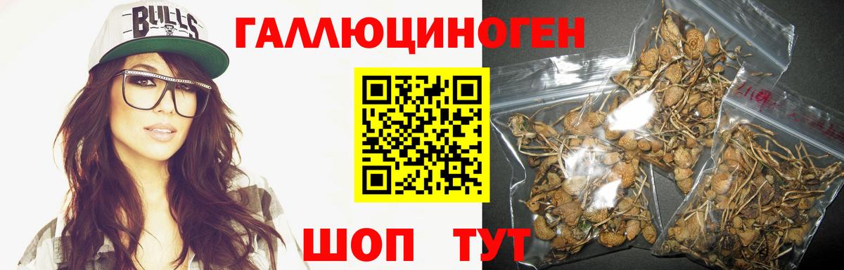 Галлюциногенные грибы мицелий Рязань