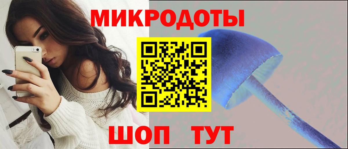 Рязань  Псилоцибиновые грибы Psilocybe  Вход с VPN 